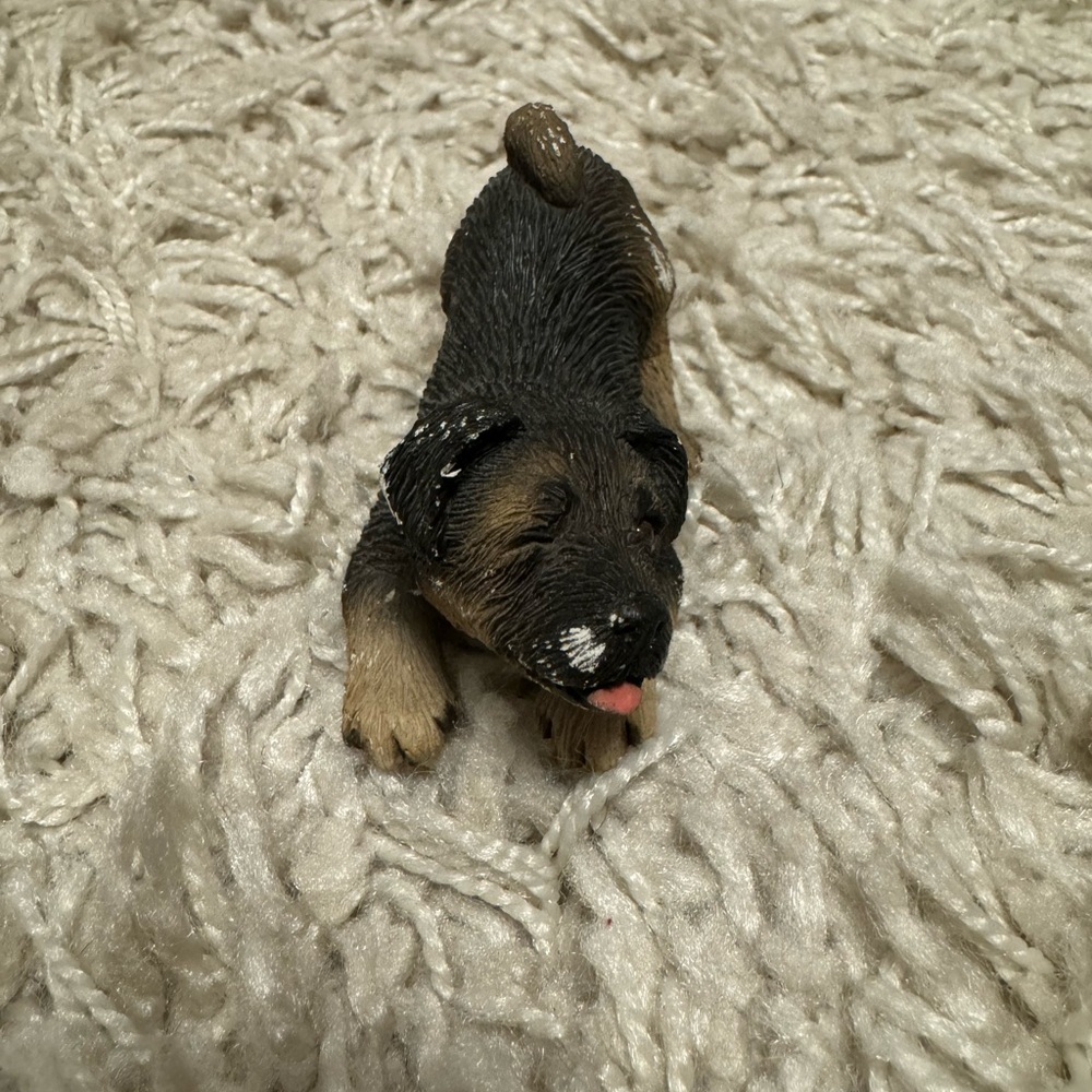 Sandicast playful German Shepherd puppy